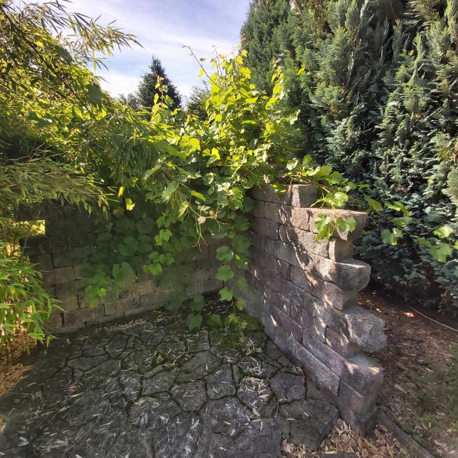 Apartment In Upper Floor In Nature Reserve. Hipstedt المظهر الخارجي الصورة